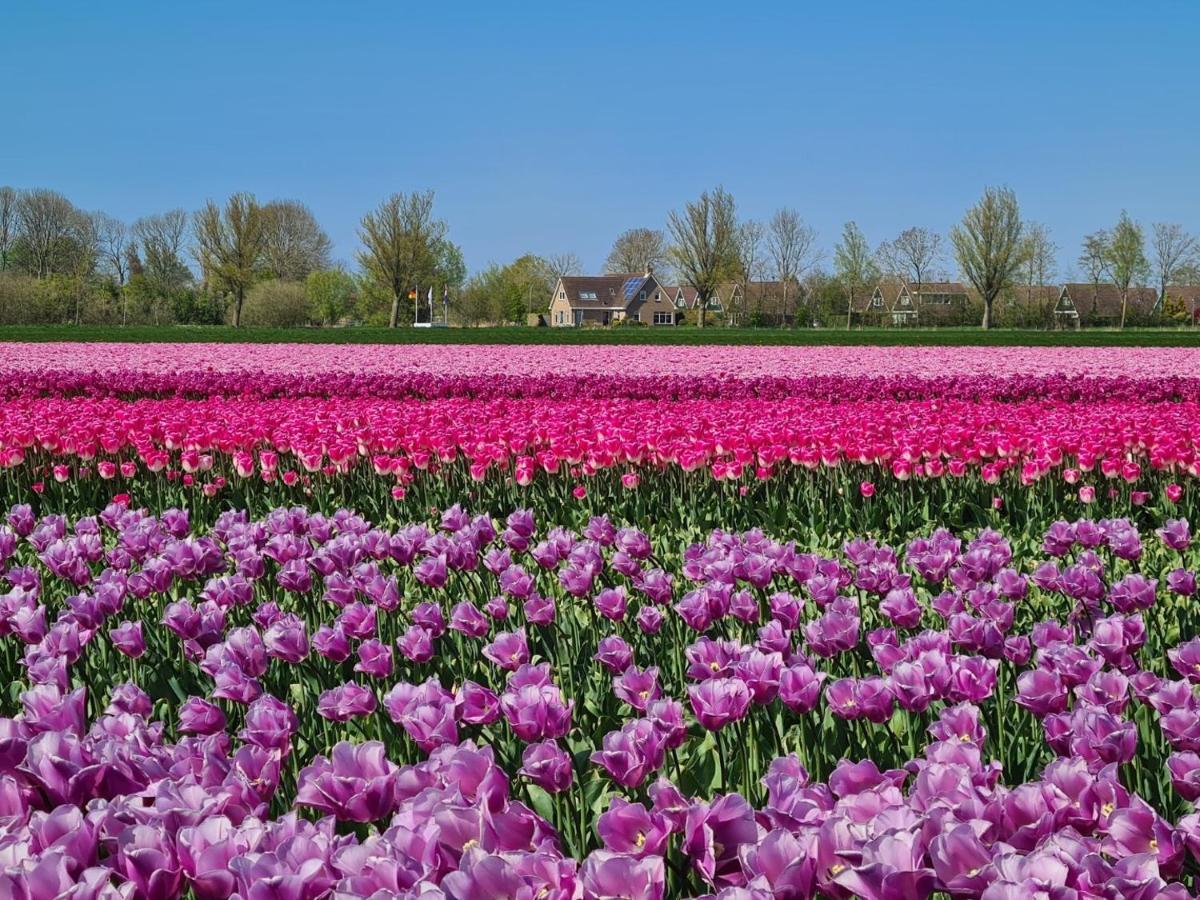 Villa Aan 'T Wiel Op Recreatiepark De Wielen 荷属圣马丁 外观 照片